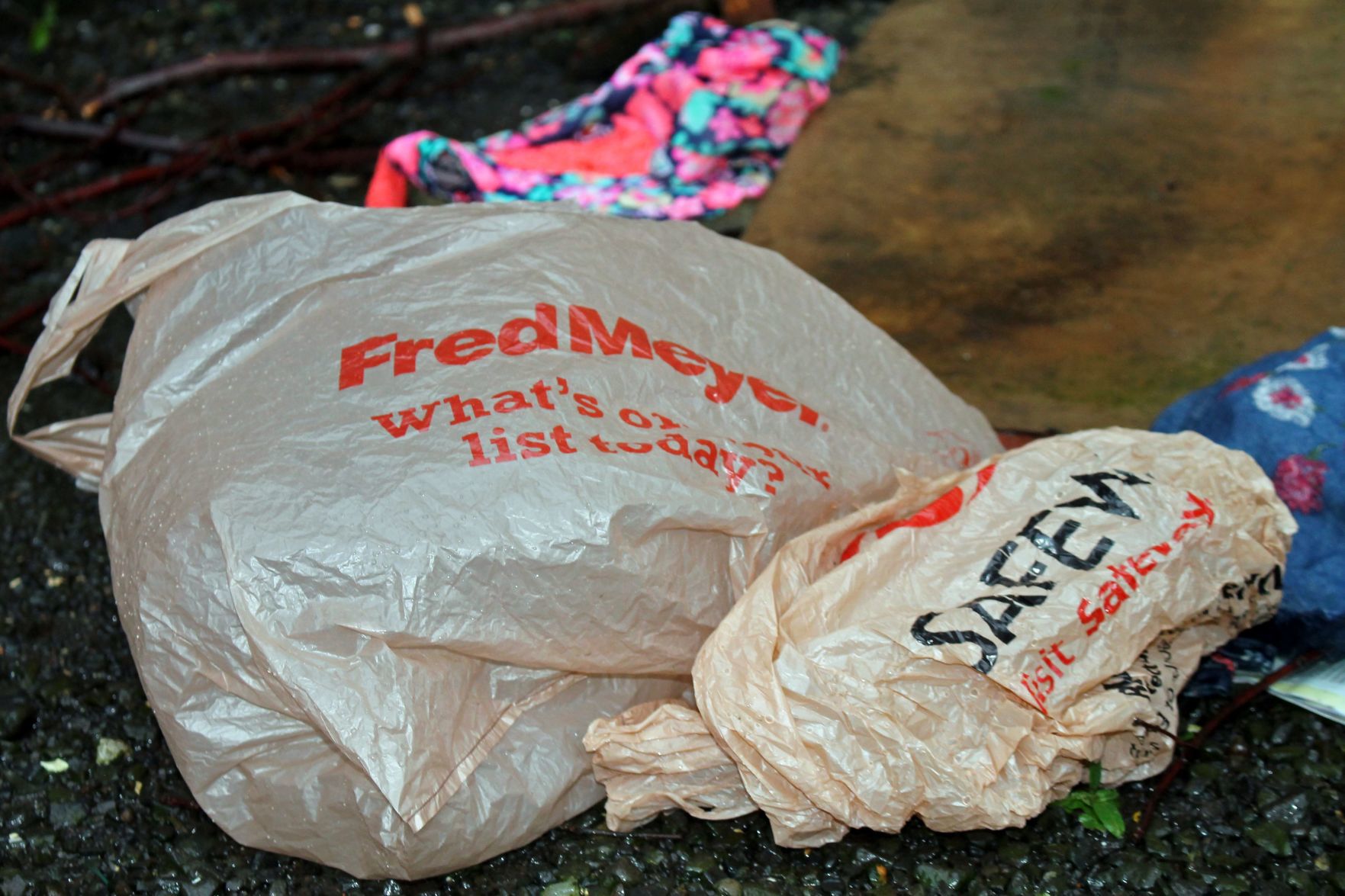 Carryout bags